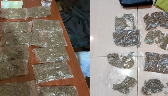 Barang bukti Ganja seberat 500 gram diamankan pihak Kepolisian Sektor Kawasan Pelabuhan Laut (KPL) Jayapura