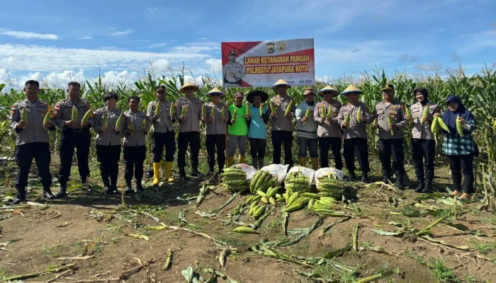 Foto bersama Kapolresta Jayapura Kota dengan para anggota kelompok Setia Tani, usai melakukan panen Jagung