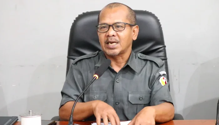 Ketua Bawaslu Provinsi Papua Hardin Halidin