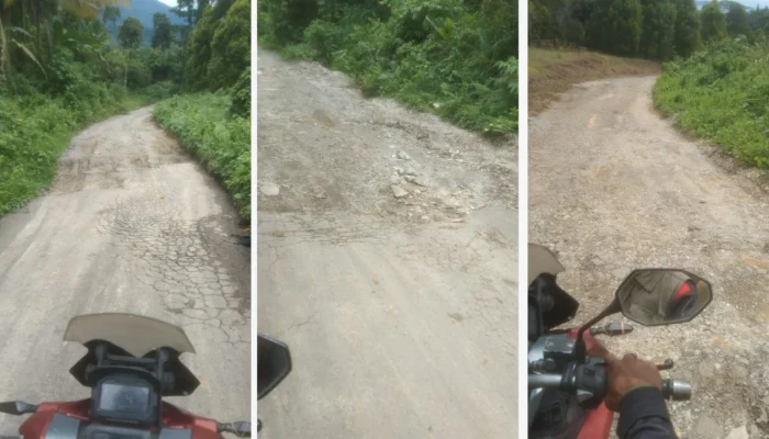 Kerja Amburadul.! Jalan Nasional di Seram Utara Rusak Parah, Pemprov Maluku Diminta Tinjau Lokasi