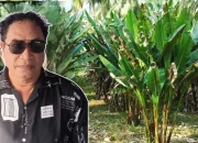 Rutumalessy : Investasi Boleh Masuk, Tapi Alam dan Adat di SBB Jangan Dikorbankan