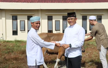 Polres SBB Sembelih 5 Hewan Kurban, Wujudkan Kepedulian Sosial di Idul Adha 1447H