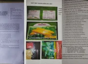 Masyarakat Bawa Dugaan Korupsi ADD DD Kades Tala Sejak 2022-2025 ke Jalur Hukum